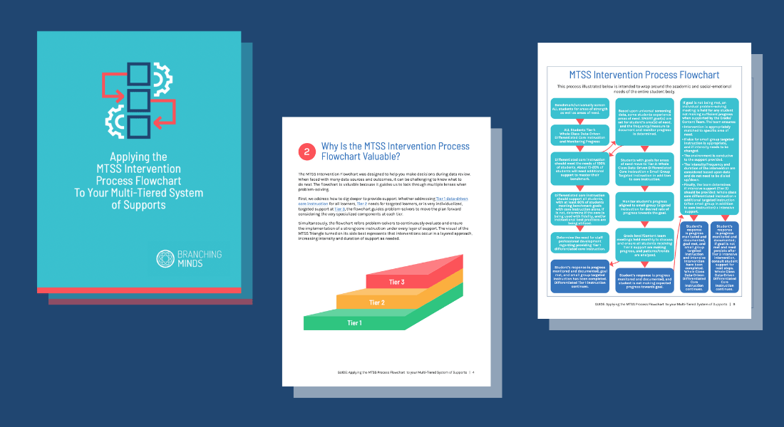 Mtss Flowchart Pdf - Ultra HD HD Nature Photos | Free Download